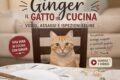Ginger😻, il gatto in cucina: video, assaggi e ispezioni feline